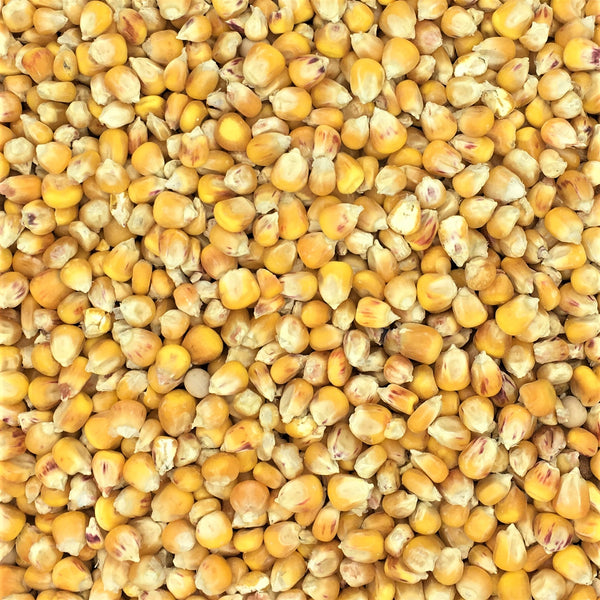 Small (Cribbs) Maize 20kg