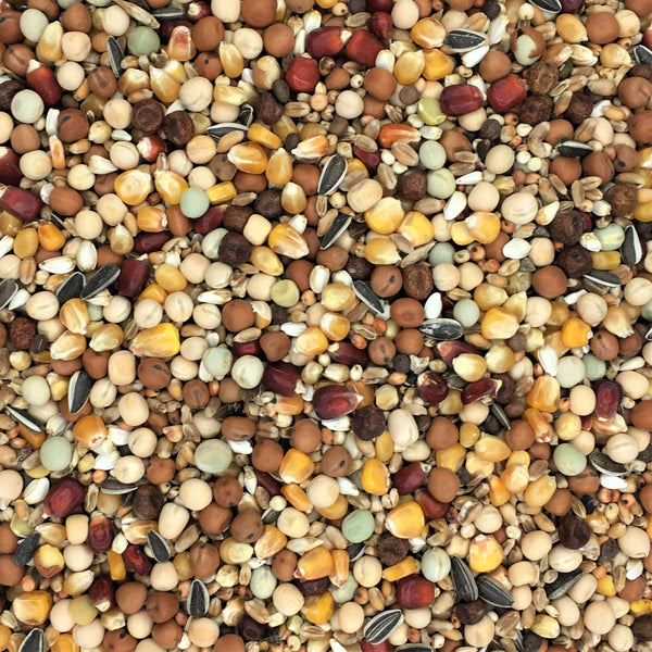 Paloma D084 Super 3 With Marano ,Pearl and Red Maize 20kg.