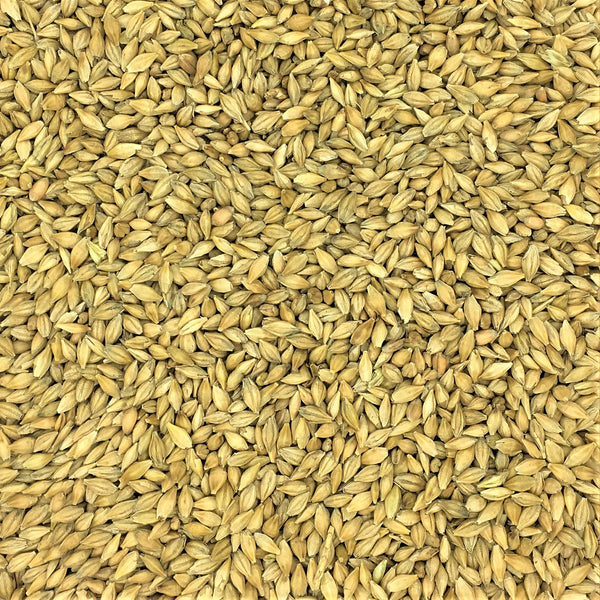 Malting Barley 20kg