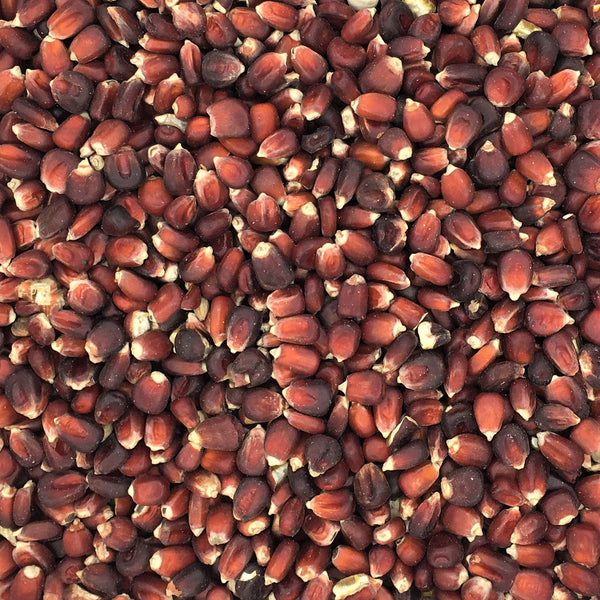 Red Maize (Very Dark Red) 20kg